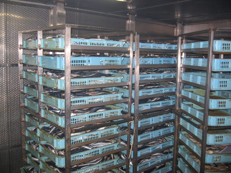 【４】解凍・選別・下処理